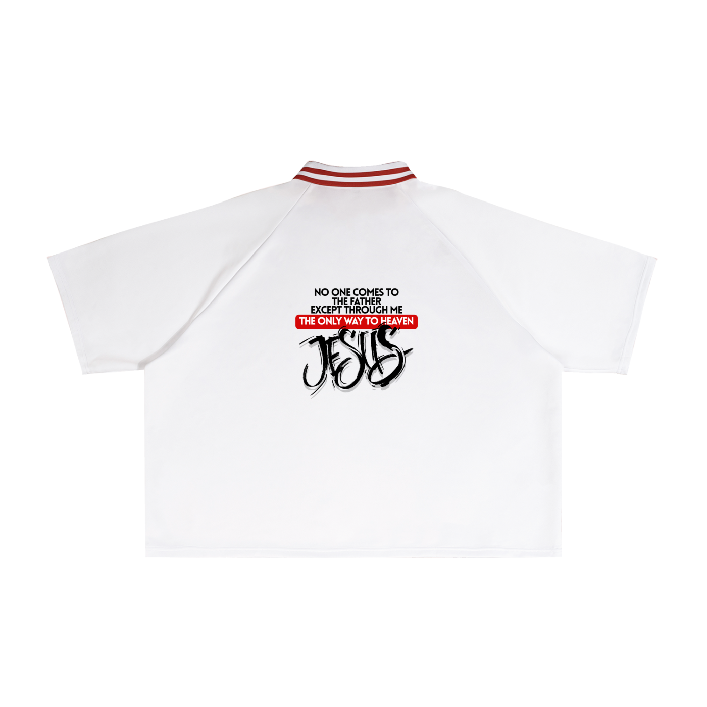 Contrast Lapel Collar Boxy T-Shirt